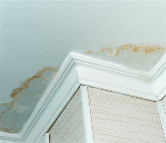 Water stains on a ceiling