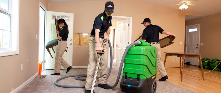 Palatka, FL cleaning services